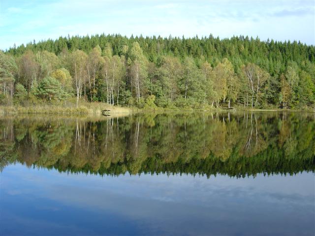 Harasjmla, Blekinge, Sweden. Photo taken a on fishing trip.